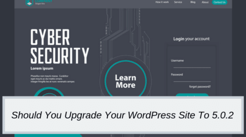 Should Your Business Upgrade It’s Website To WordPress 5.0.2